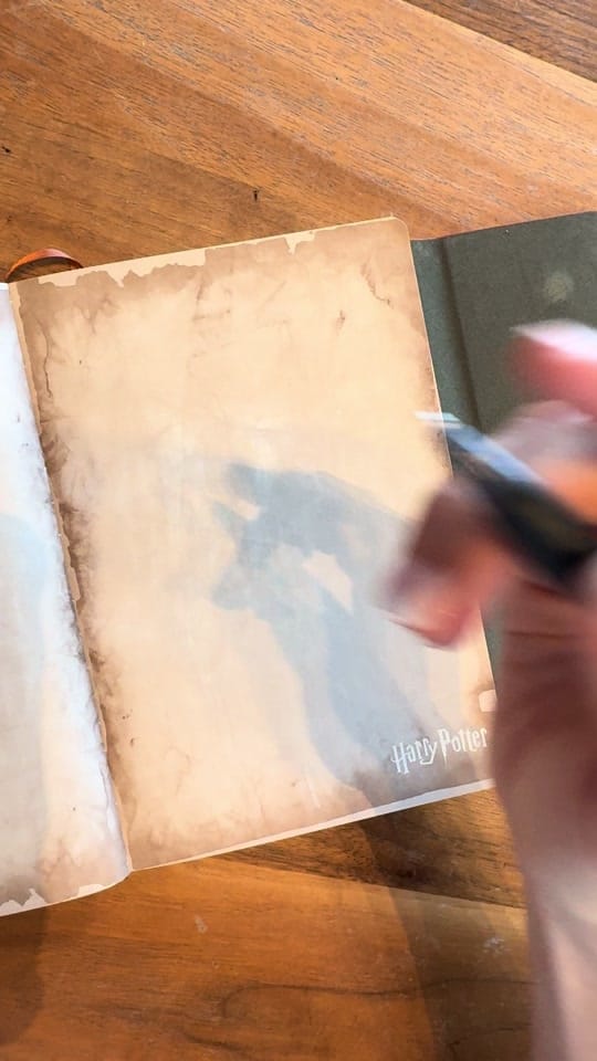 Post 3 by Shael on TikTok (video)
