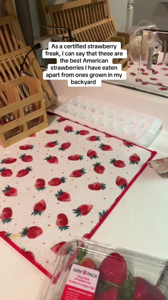 Post 6 by Kimi 🎻🌈🦓 on TikTok (video)
