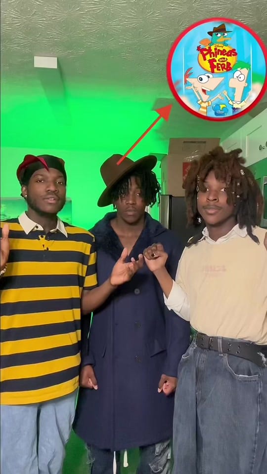 Post 5 by Brown Recluse on TikTok (video)