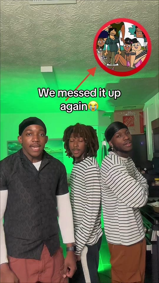Post 4 by Brown Recluse on TikTok (video)