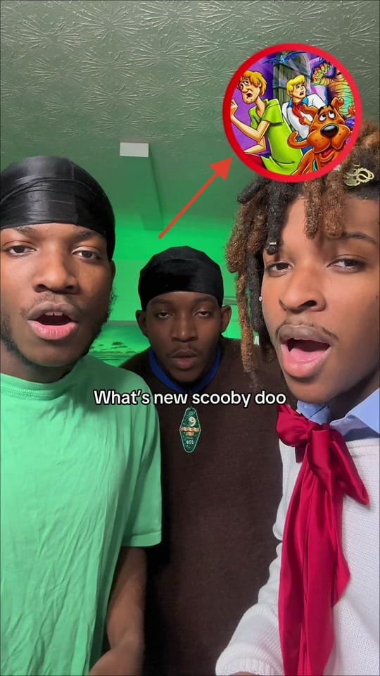 Post 7 by Brown Recluse on TikTok (video)