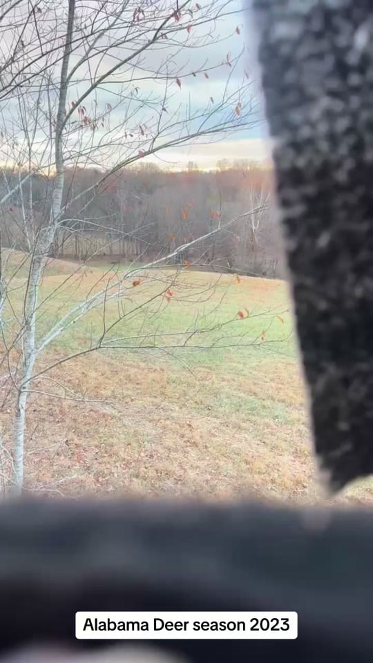 Post 1 by Rodney Holden on TikTok (video)