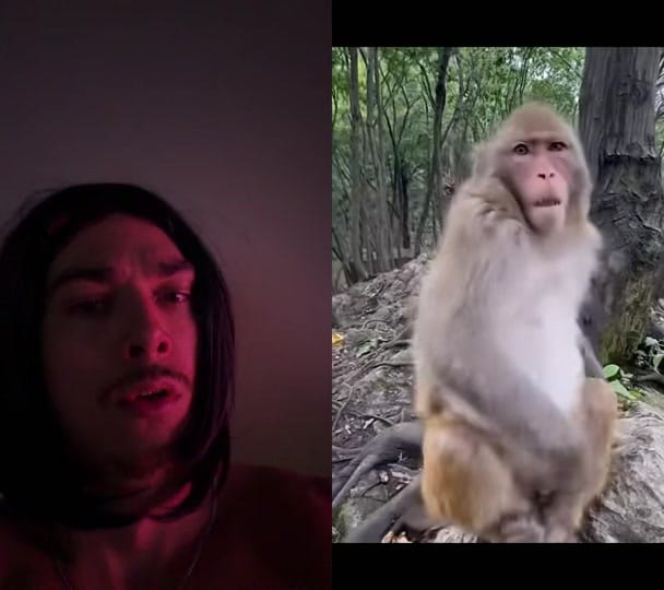 Post 3 by theseandawson on TikTok (video)