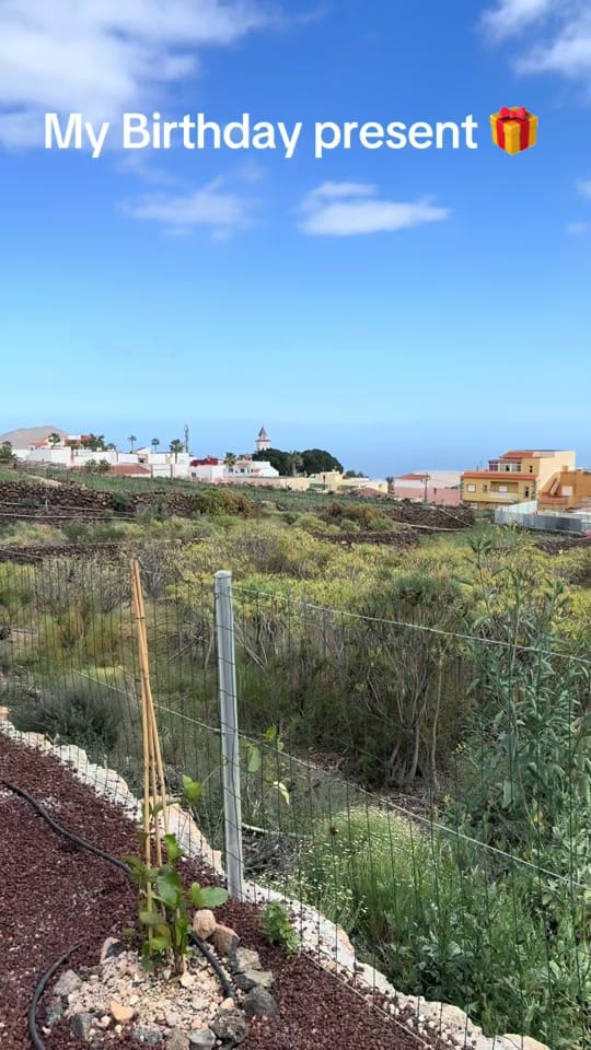 Post 2 by LukeTowlerTenerife on TikTok (video)