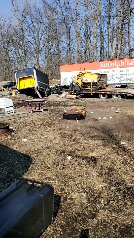 Post 7 by Kevin Eldridge on TikTok (video)