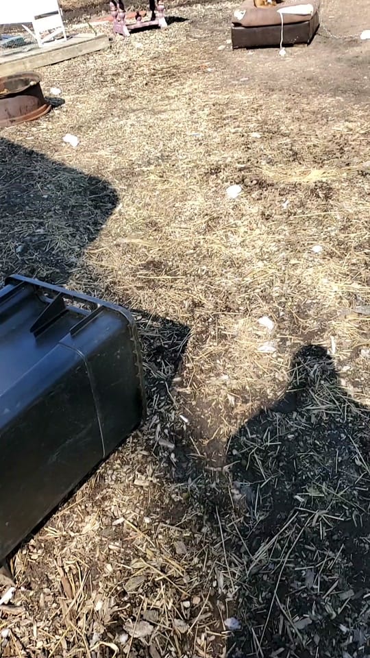 Post 6 by Kevin Eldridge on TikTok (video)