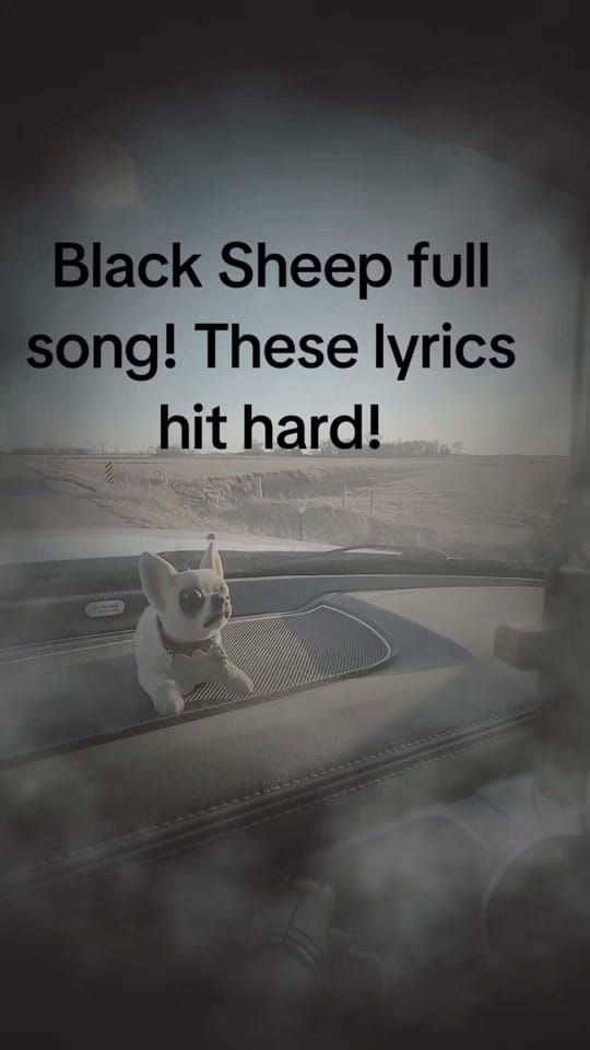 Post 8 by Redneck_Lincoln6.4 on TikTok (video)