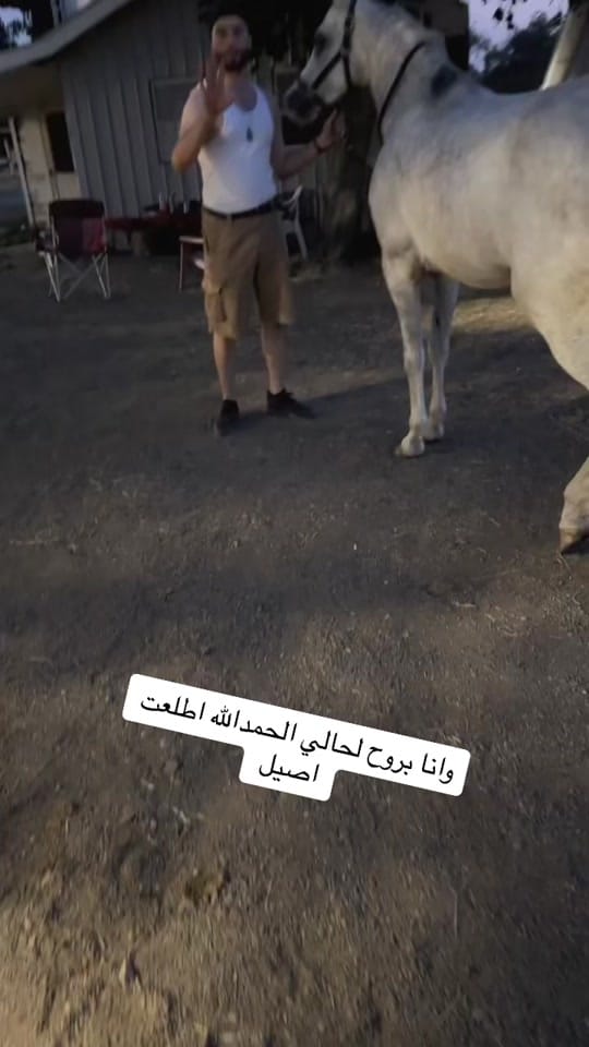Post 10 by Samer in Chicago on TikTok (video)