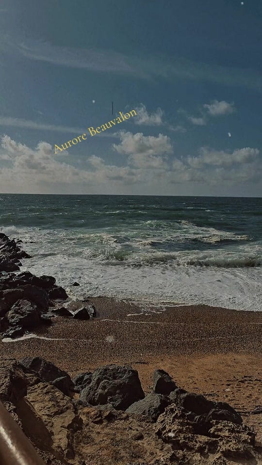 Post 10 by aurorebeauvalon on TikTok (video)
