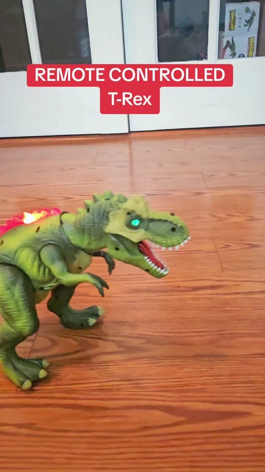 Post 10 by Southern_Squeeze❌️ on TikTok (video)