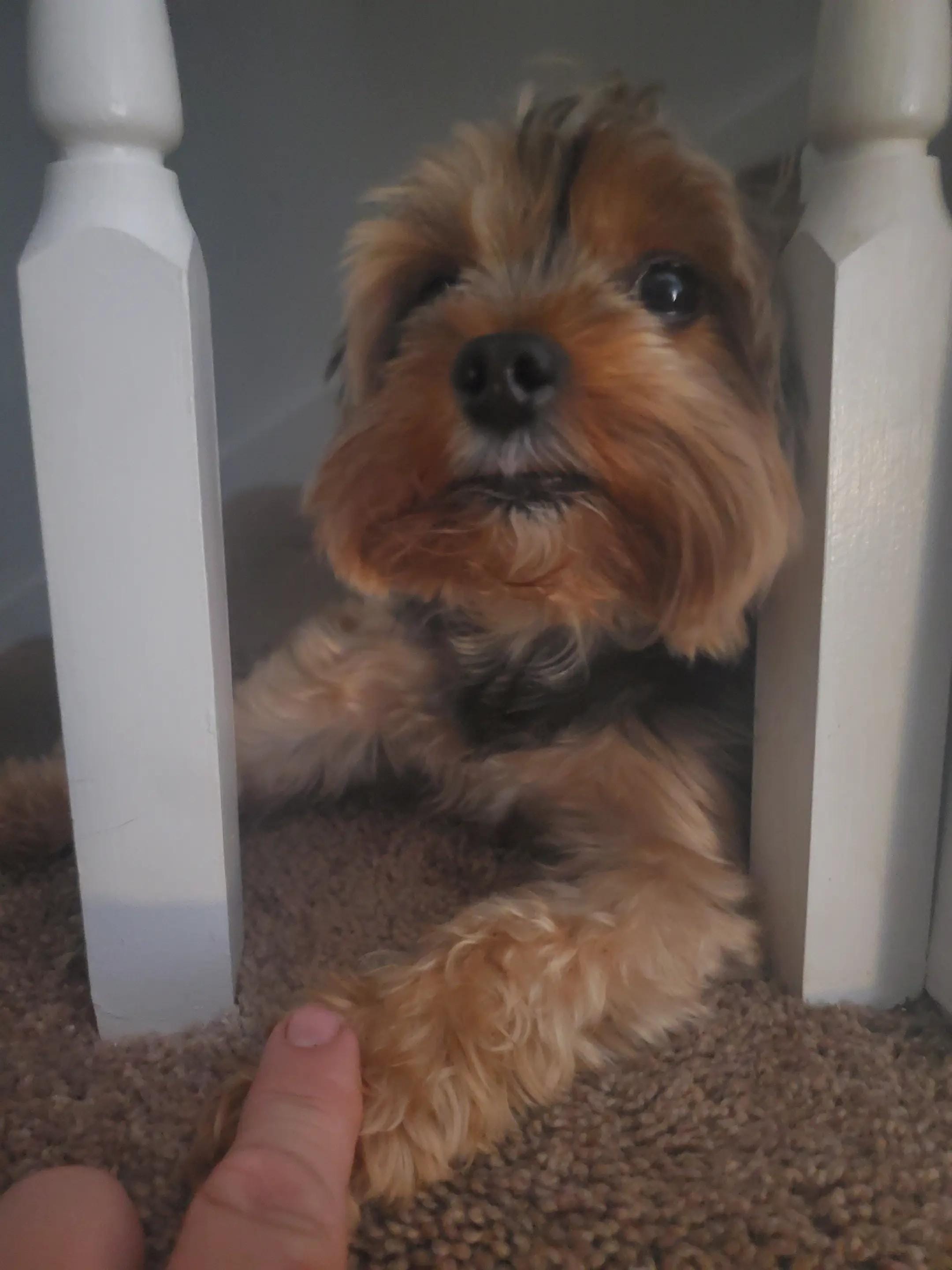 Post 6 by Southern_Squeeze❌️ on TikTok (video)