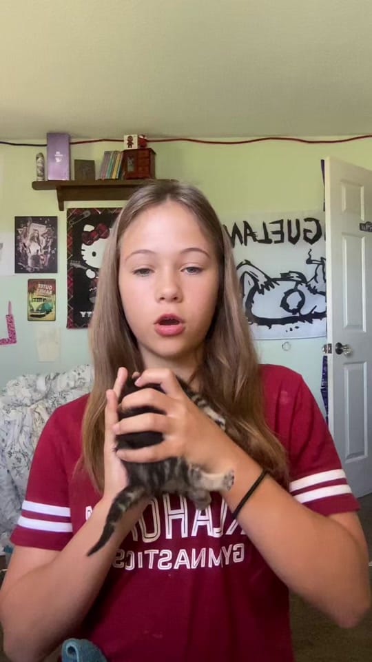 Post 7 by Wesley on TikTok (video)