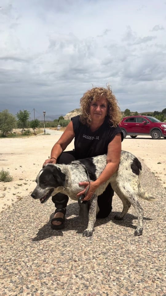 Post 5 by Protectora Animales Uskar on TikTok (video)