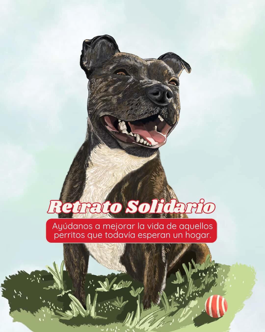 Post 10 by Protectora Animales Uskar on TikTok (video)
