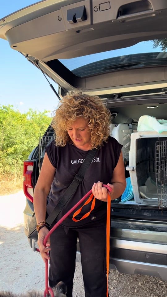 Post 3 by Protectora Animales Uskar on TikTok (video)
