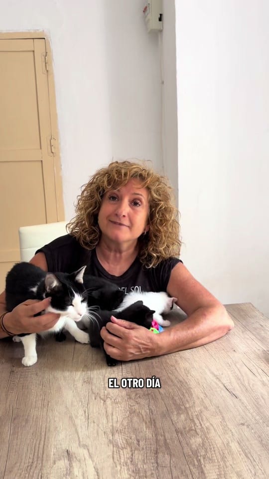 Post 2 by Protectora Animales Uskar on TikTok (video)