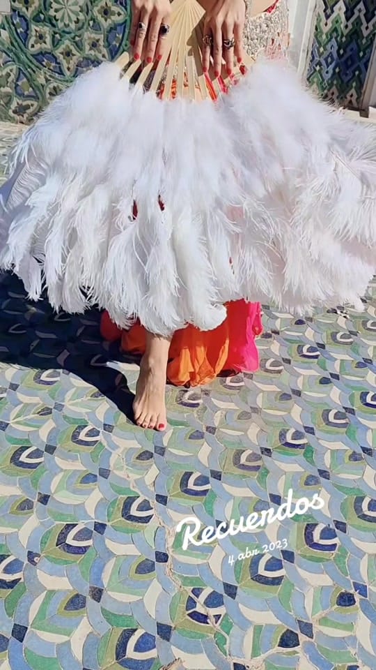 Post 3 by Shahla Sousa on TikTok (video)