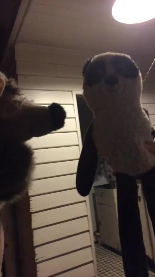 Post 6 by ConiX on TikTok (video)