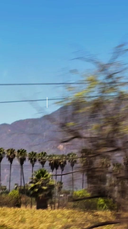 Post 4 by Javier Castillo on TikTok (video)