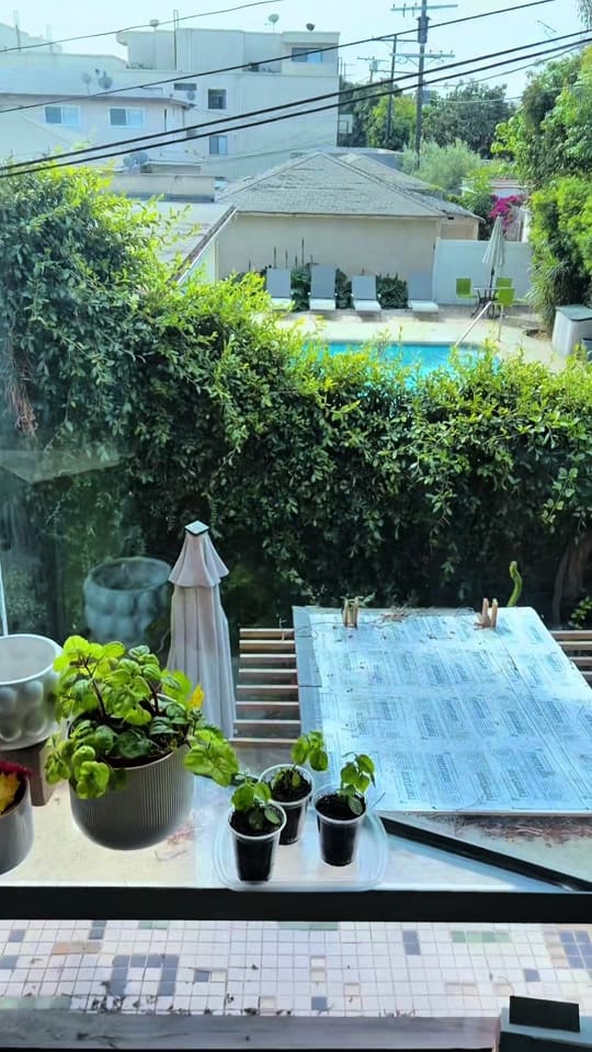 Post 2 by Javier Castillo on TikTok (video)