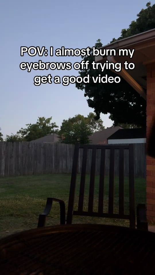 Post 1 by JoJo DiSalvo on TikTok (video)