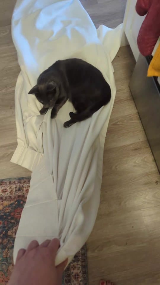 Post 1 by awwpeas 🇨🇦🍉 on TikTok (video)
