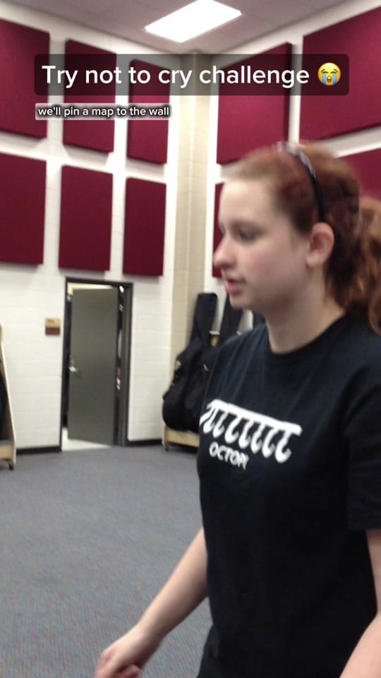 Post 6 by We Are Menagerie on TikTok (video)