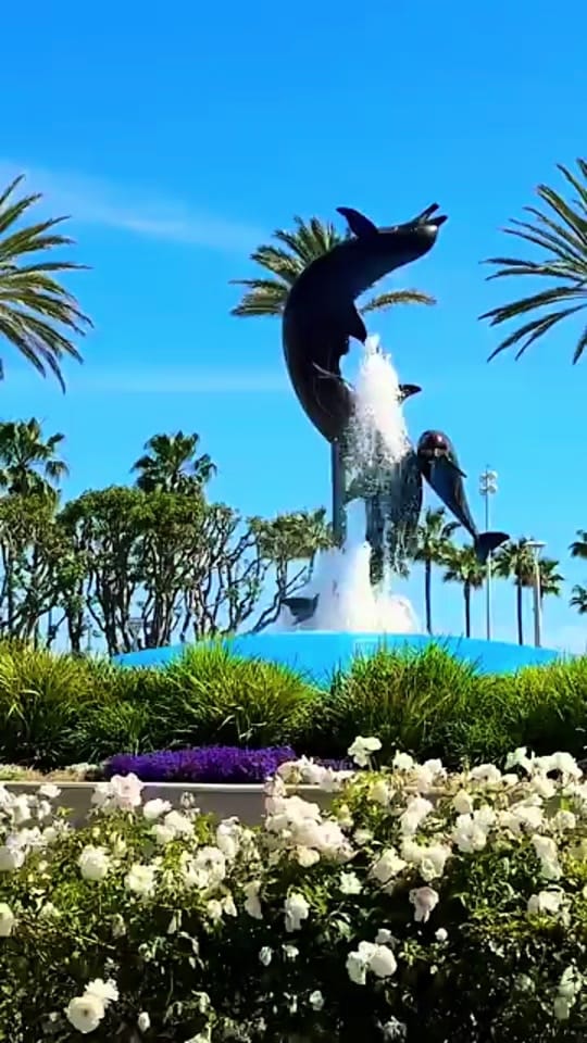 Post 8 by Mr Staggers on TikTok (video)