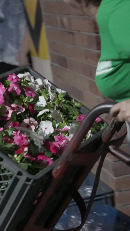 Post 3 by Bosque Vivero y Artesanías on TikTok (video)