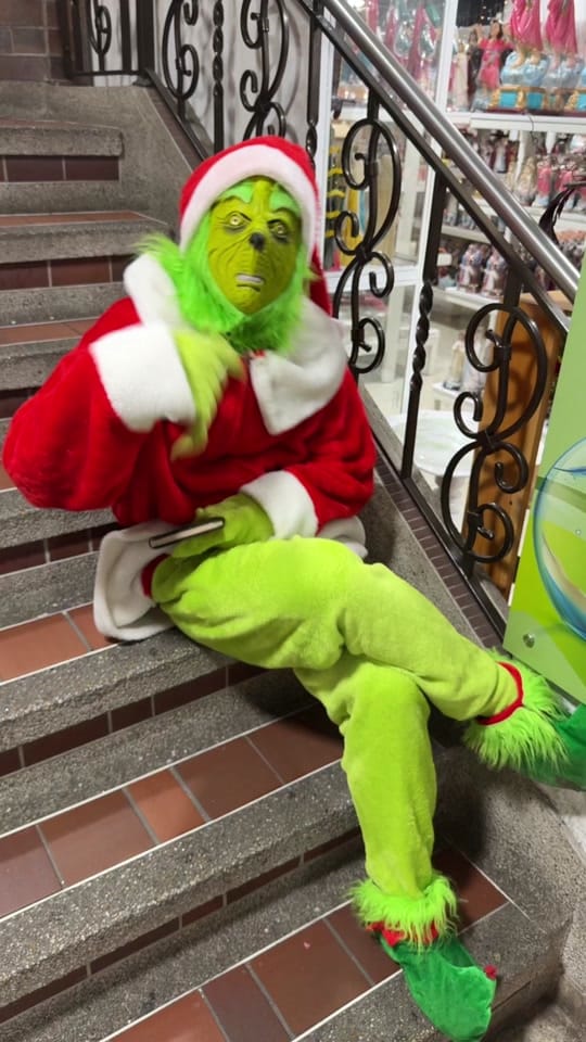 Post 4 by Bosque Vivero y Artesanías on TikTok (video)