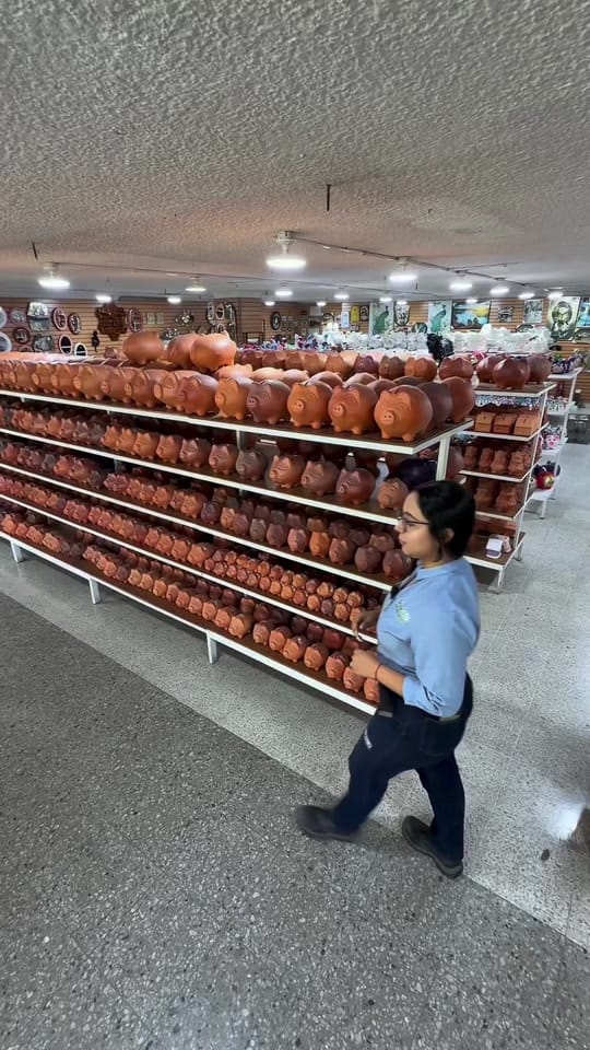Post 1 by Bosque Vivero y Artesanías on TikTok (video)