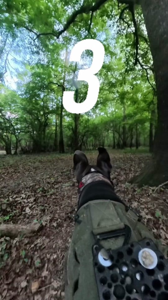 Post 5 by louisianaaf on TikTok (video)