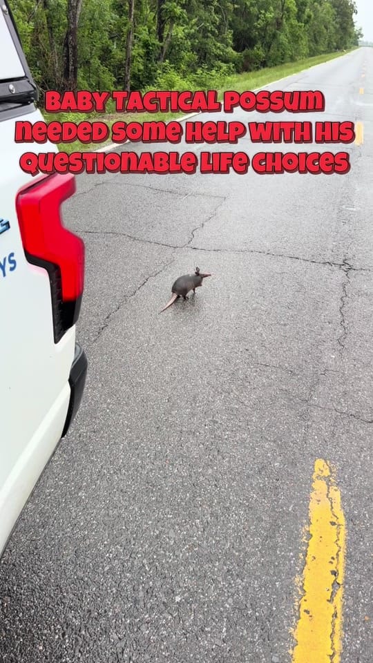Post 3 by louisianaaf on TikTok (video)
