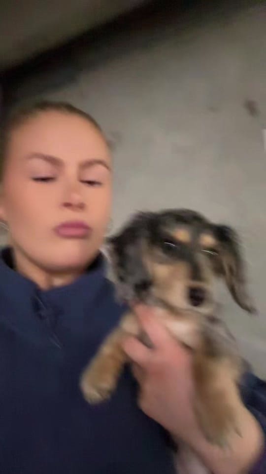 Post 7 by Kamryn Palmer on TikTok (video)