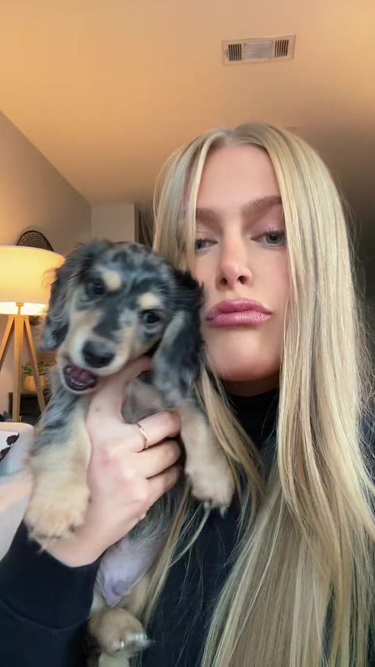 Post 1 by Kamryn Palmer on TikTok (video)