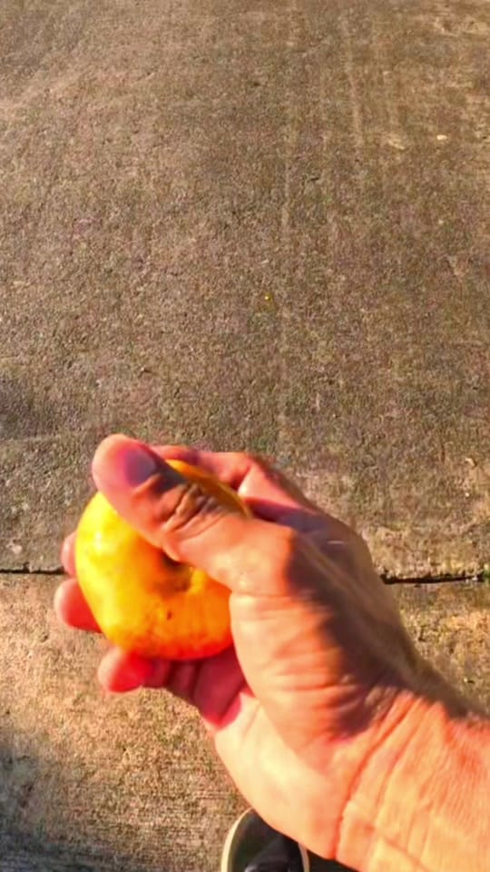 Post 2 by SlacklineRubem on TikTok (video)