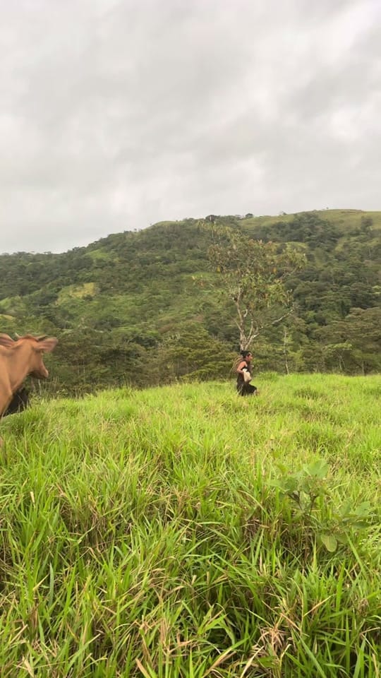 Post 8 by SlacklineRubem on TikTok (video)