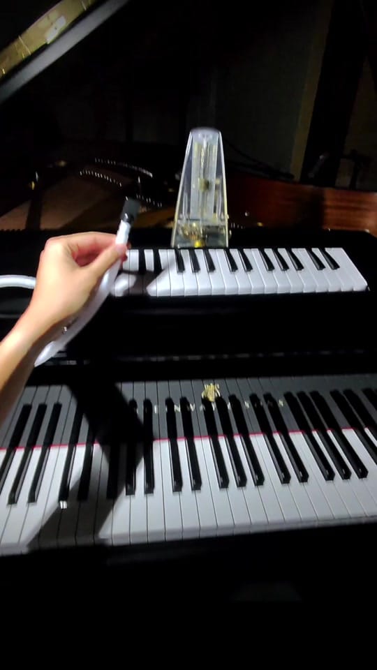 Post 6 by PianoPaus on TikTok (video)