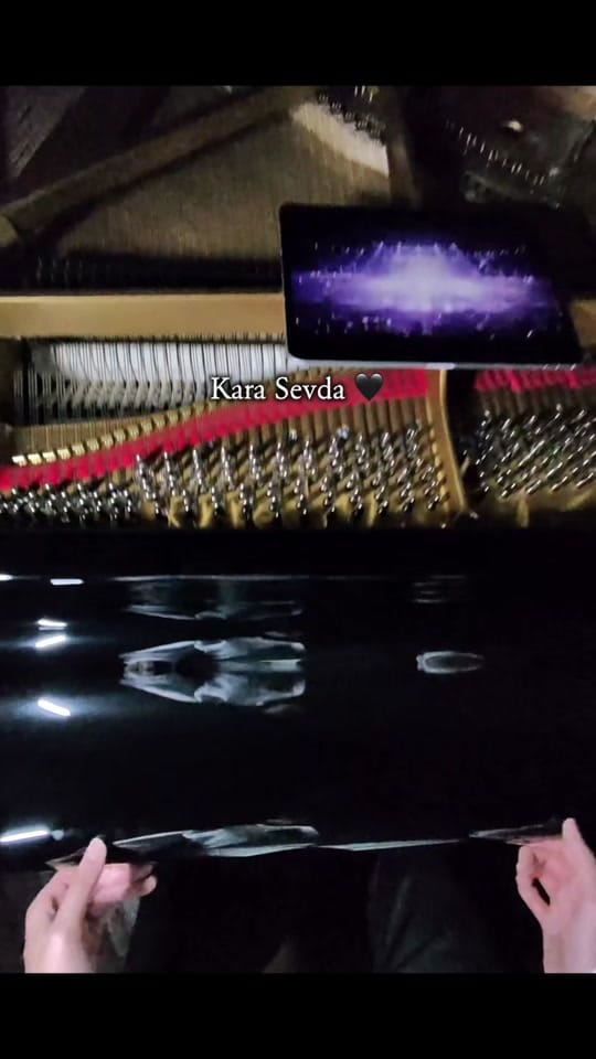 Post 2 by PianoPaus on TikTok (video)