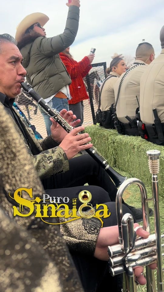 Post 10 by 🎺banda_puro_sinaloaLV🎺 on TikTok (video)