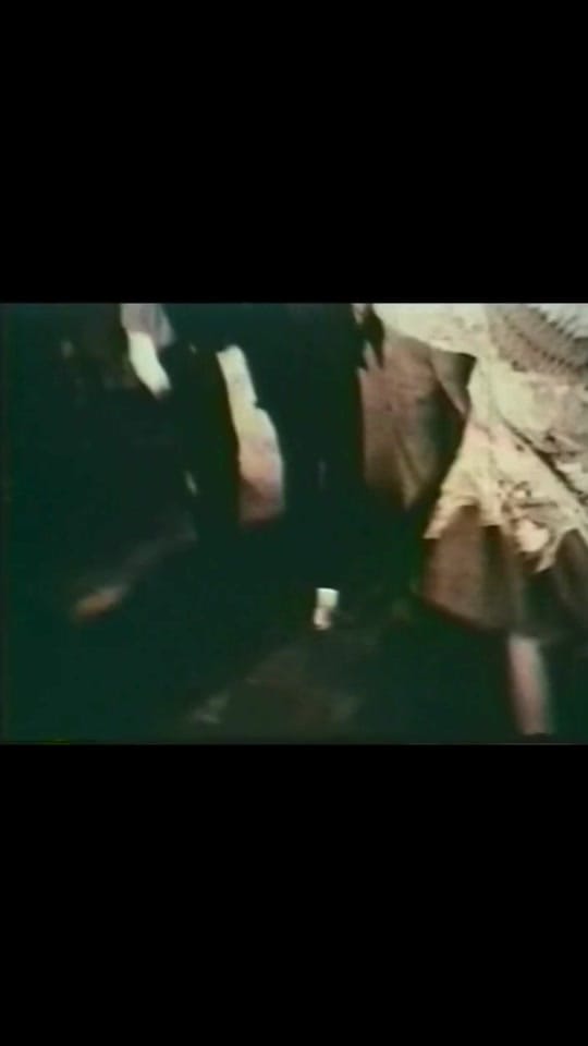Post 9 by Frank Zappa on TikTok (video)
