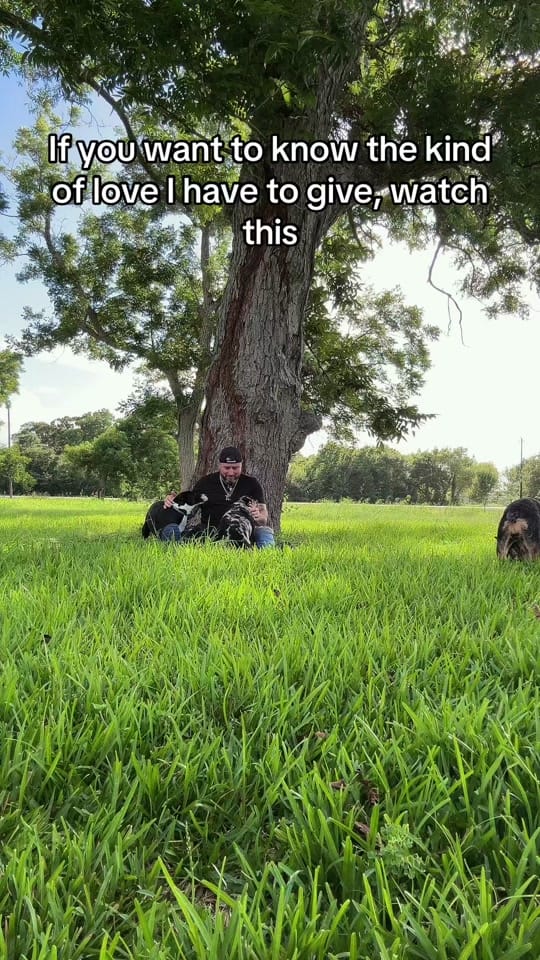 Post 8 by OceanCowboy🌊🐲 on TikTok (video)