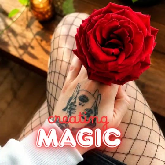 Post 4 by Angelina Tateosyan on TikTok (video)
