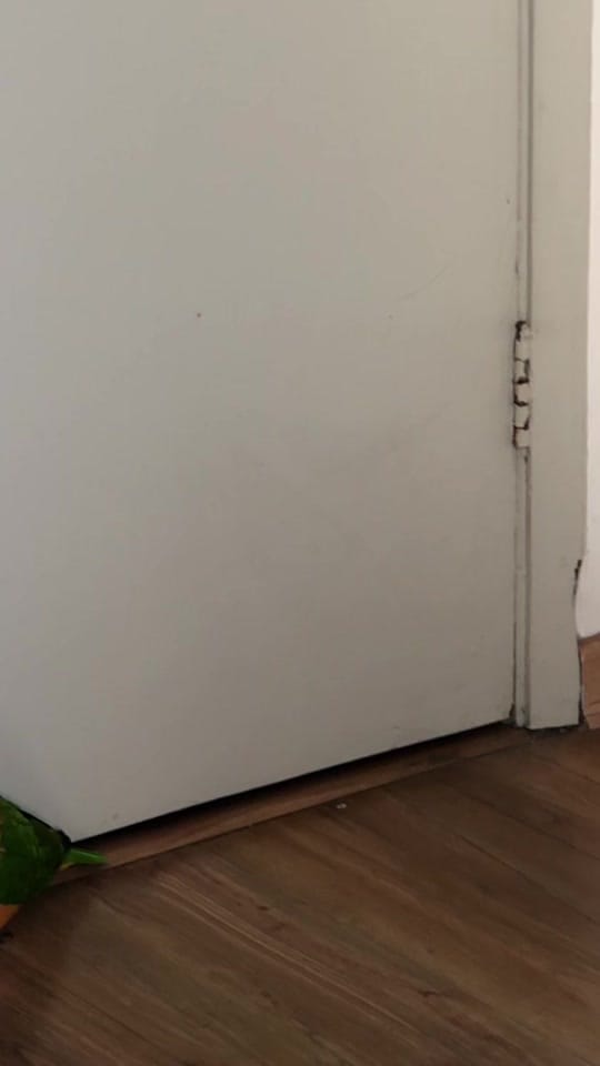 Post 6 by nicoecapitu on TikTok (video)