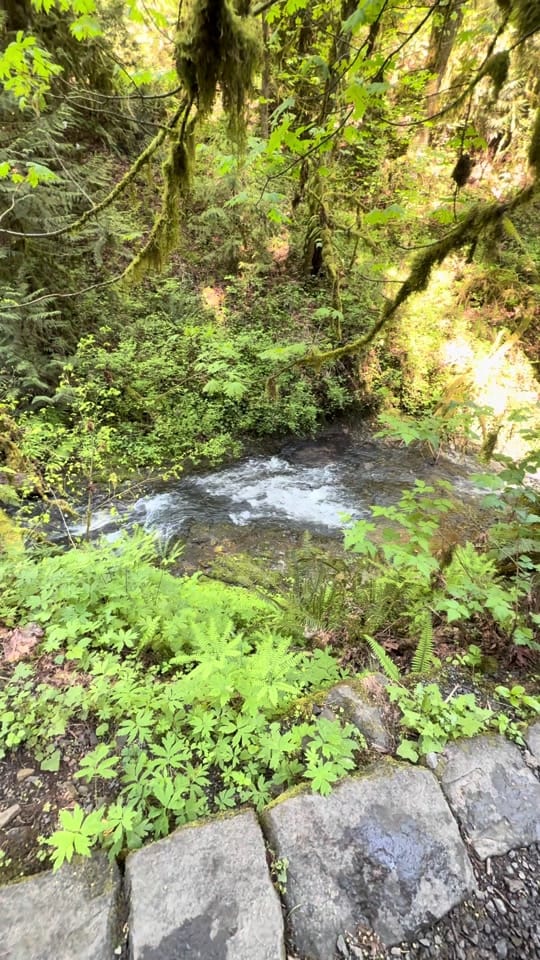 Post 2 by Jacob Tobey on TikTok (video)