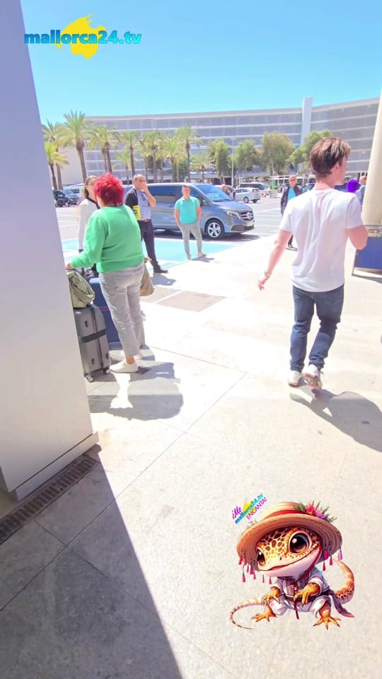 Post 8 by MALLORCA24TV on TikTok (video)