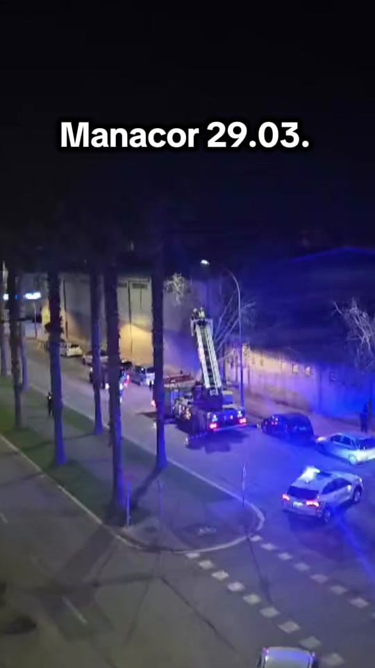 Post 7 by MALLORCA24TV on TikTok (video)