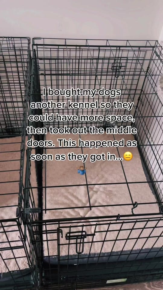 Post 10 by Beachhouse on TikTok (video)