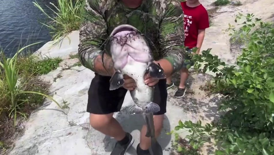 Post 8 by Jacob Farris on TikTok (video)
