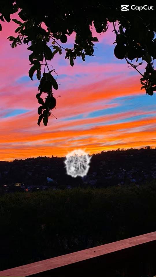 Post 3 by Alan Canas on TikTok (video)